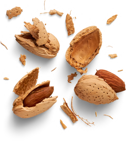 Almonds for bone health